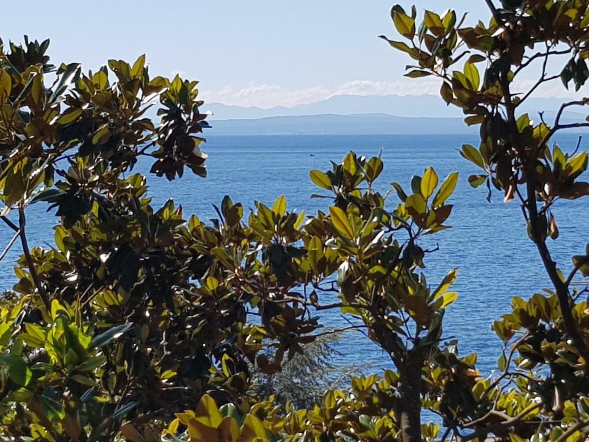 Sunny Apartment 150 M From The Sea Opatija Exteriör bild